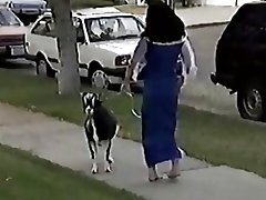 Kellonsoittaja ilkeä dames xxx