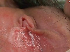 Karvainen yksin Aasian sopimukset ja märkä