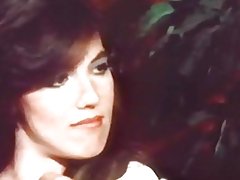 Viimeinen peli vimma